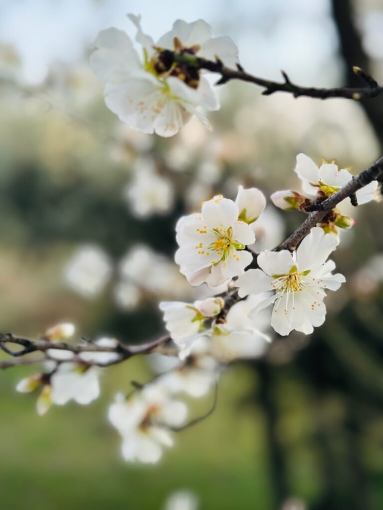 Echappées Belles autour de Lourmarin Sud Luberon – Provence